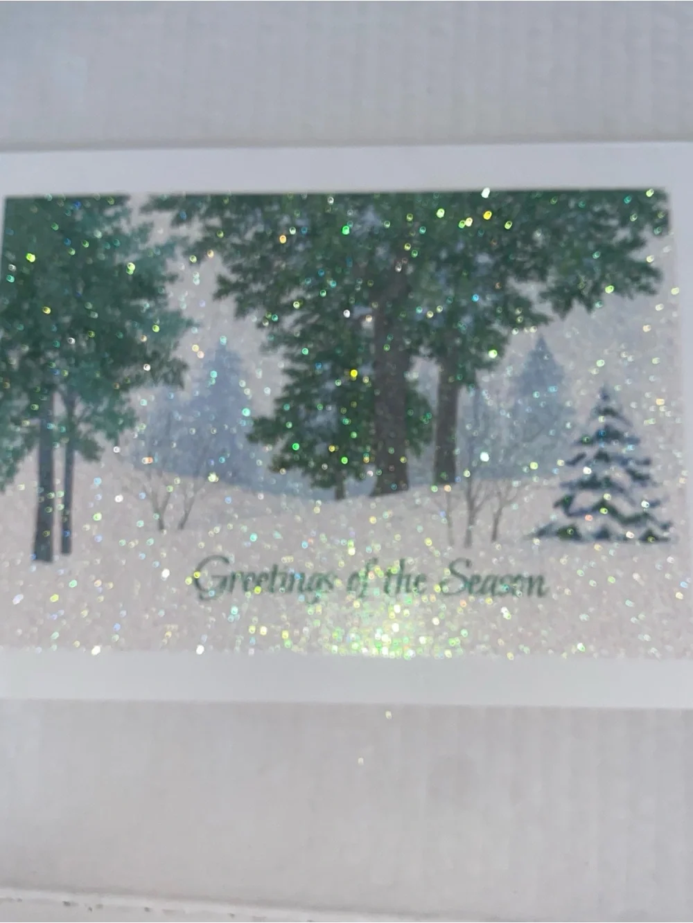 Season’s Greetings Christmas Holiday Glittery Cards Lot Of 21 With Envelopes